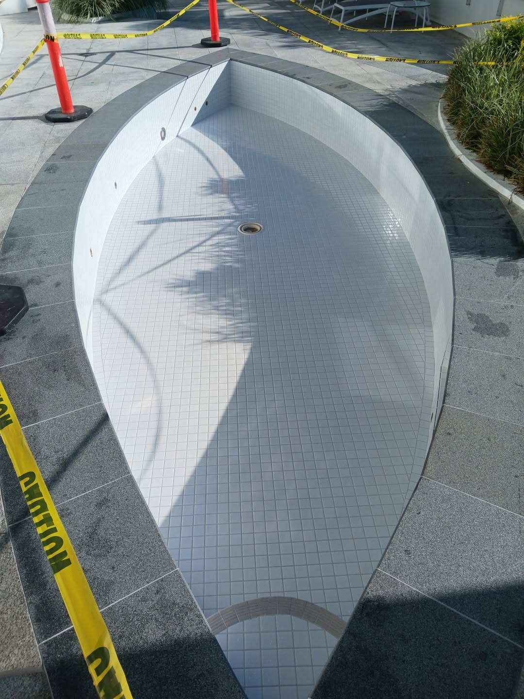Rooftop Plunge Pool Mosaic